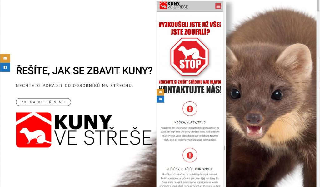 ref_kuny_na_strese